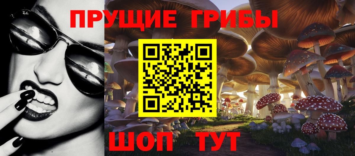 Псилоцибиновые грибы Magic Shrooms Бахчисарай
