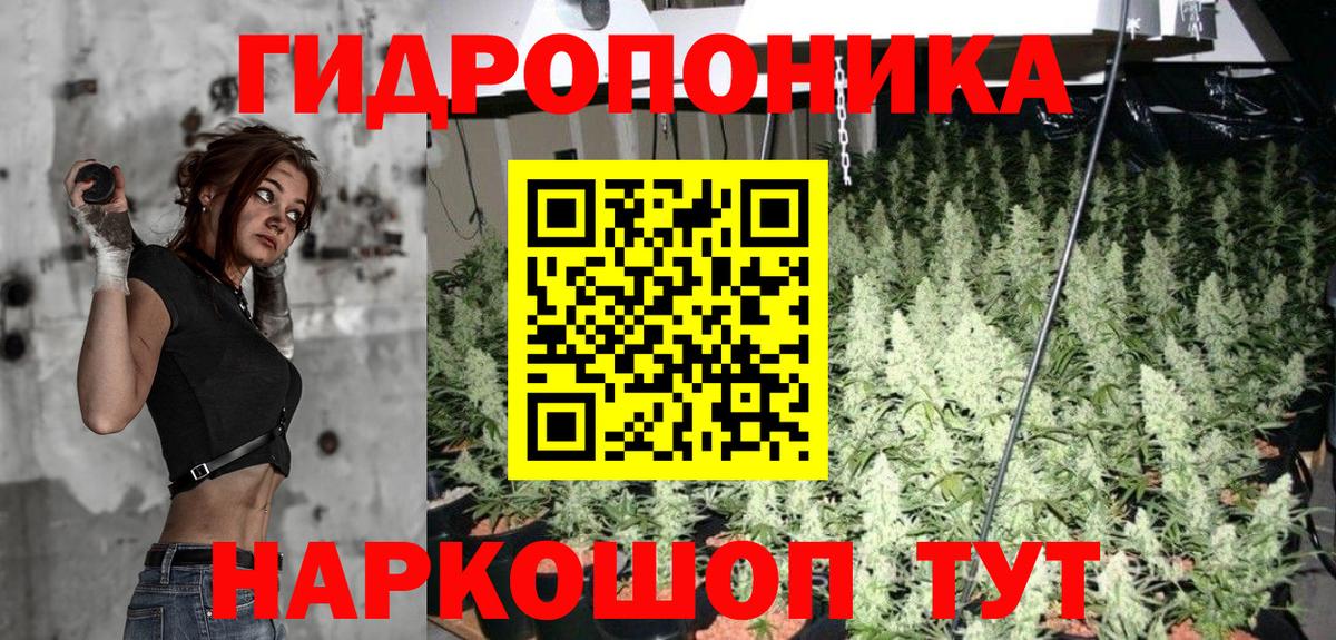 Бахчисарай  Марихуана планчик  Шишки марихуана Ganja  Вход с VPN  Бошки марихуана план 